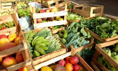 Direito humano à alimentação adequada é cada vez mais violado no Brasil