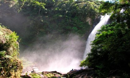 INMA abre inscrições para 20 bolsas de pesquisa sobre a Mata Atlântica